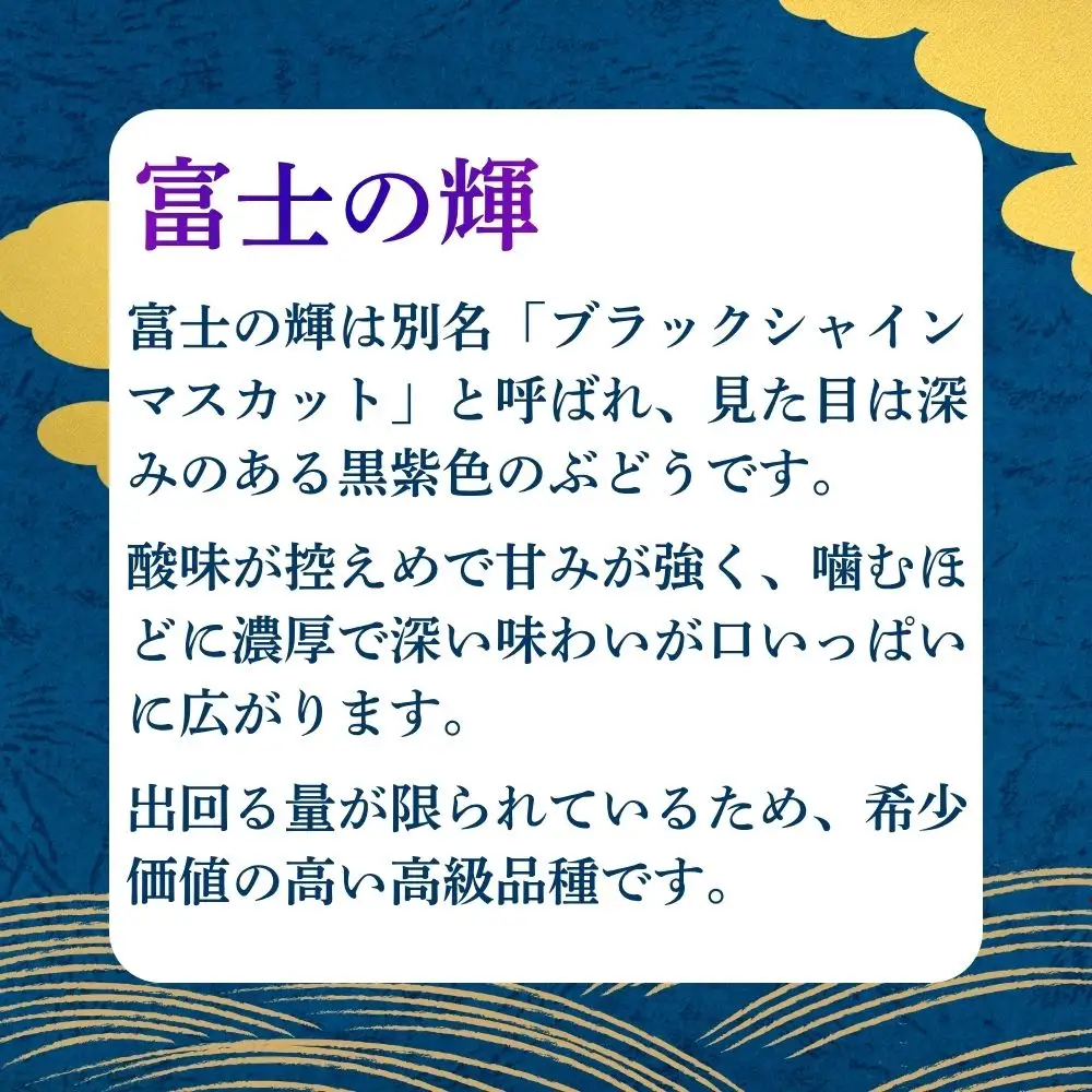 朝日町産 ぶどう 「富士の輝」700ｇ特秀品 2026年産 農家直送 山形県 朝日町産 山形産 高級 ブドウ 葡萄 グレープ 果物 フルーツ 秋 送料無料