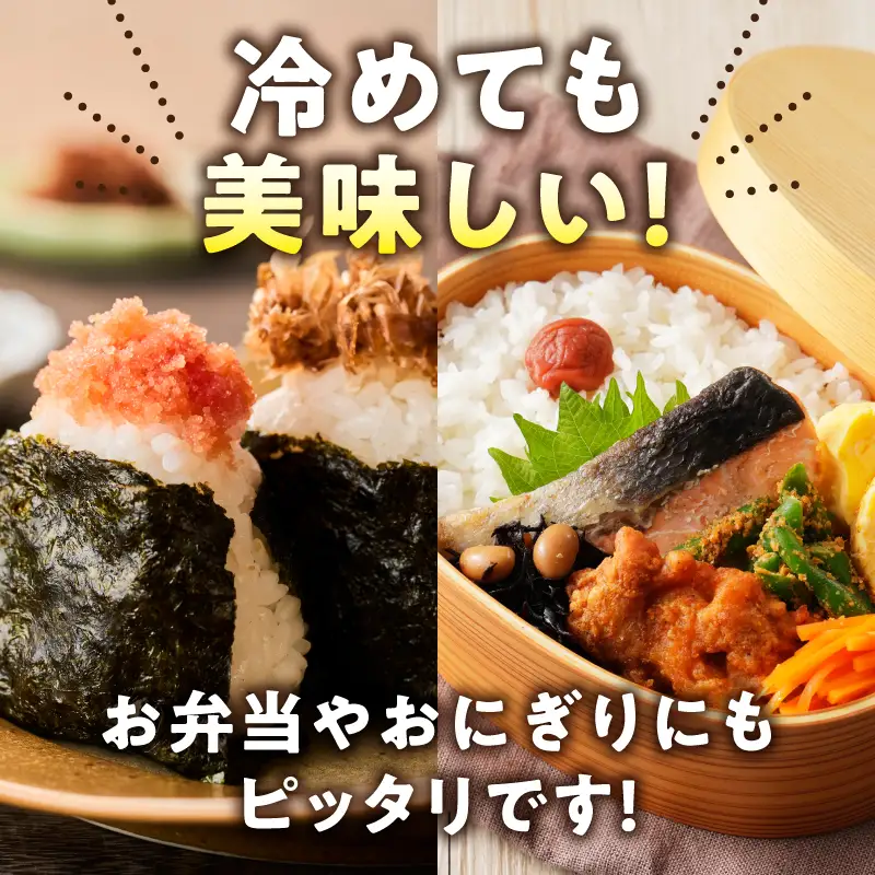 【先行予約】【R8年度産】島根県江津市 きぬむすめ 白米 10kg ※発送直前精米※ MG-4 新米 お米