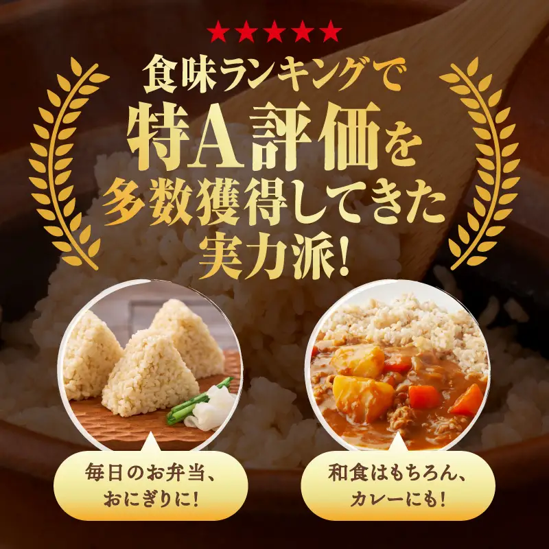 【先行予約】【R8年度産】島根県江津市 きぬむすめ 玄米 5kg MG-5 新米 お米