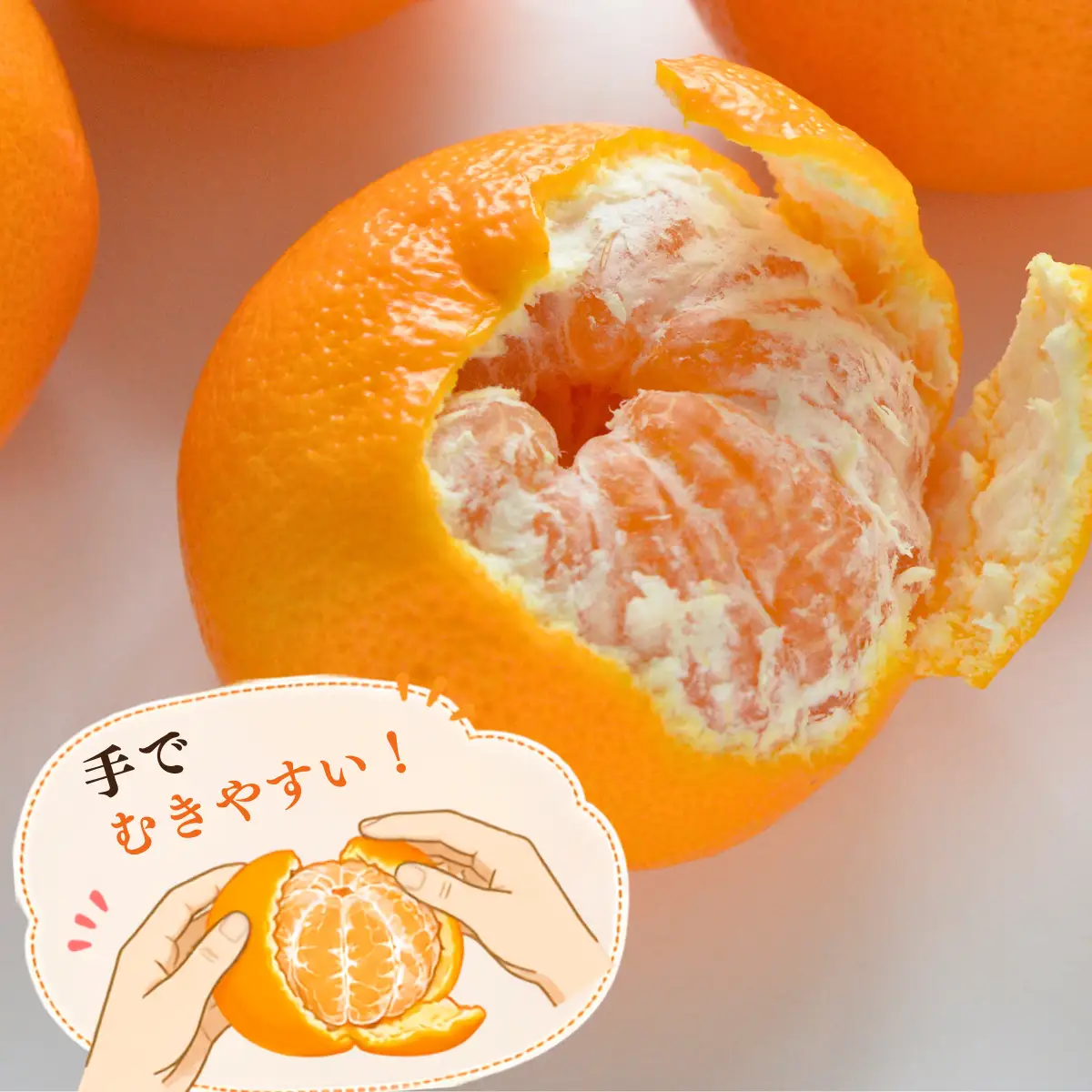 みかん 【先行受付】はれひめ 4kg 秀品 2L～S