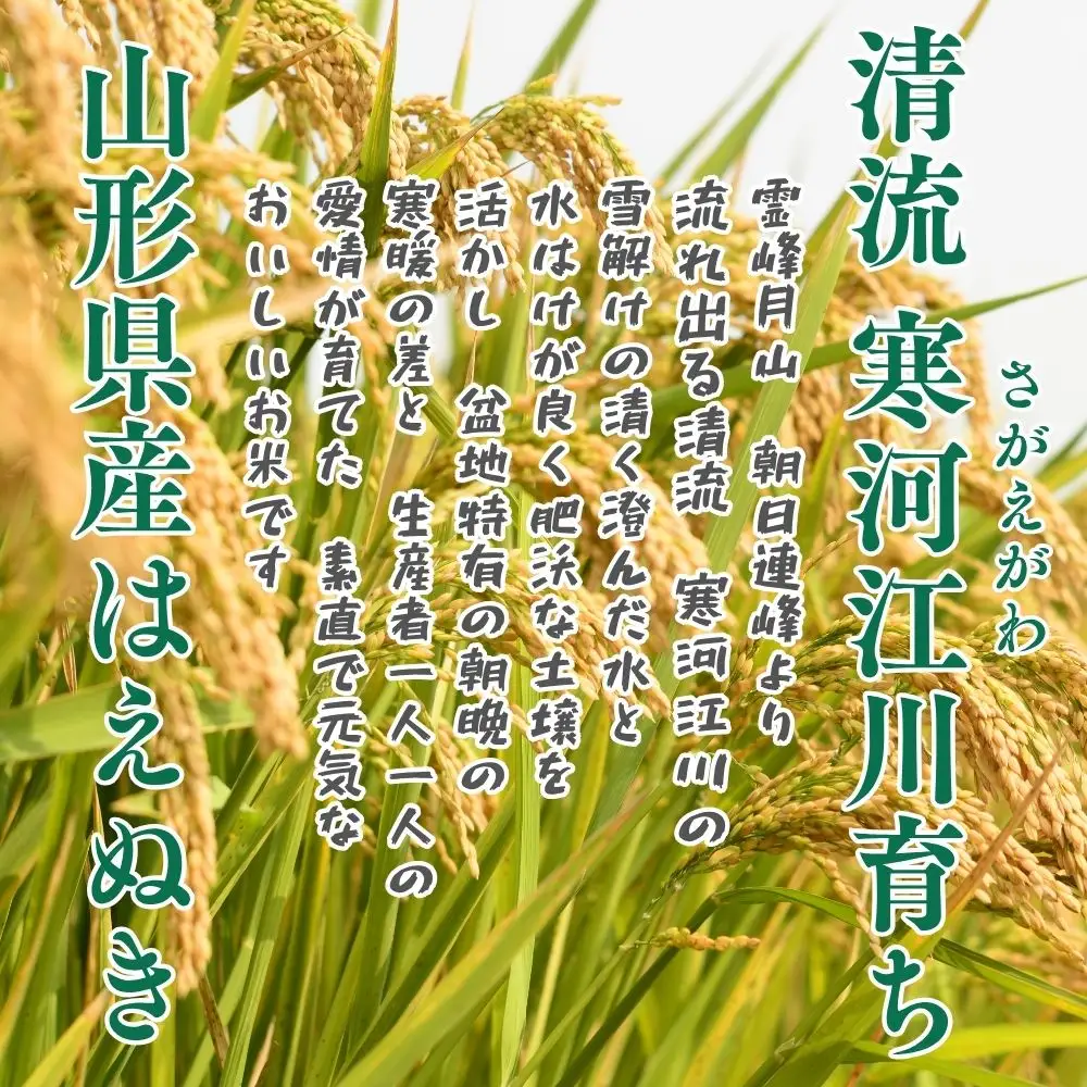 令和8年産 新米 はえぬき 10kg (5kg×2）清流寒河江川育ち 山形県産 米 精米 お米 山形県 送料無料