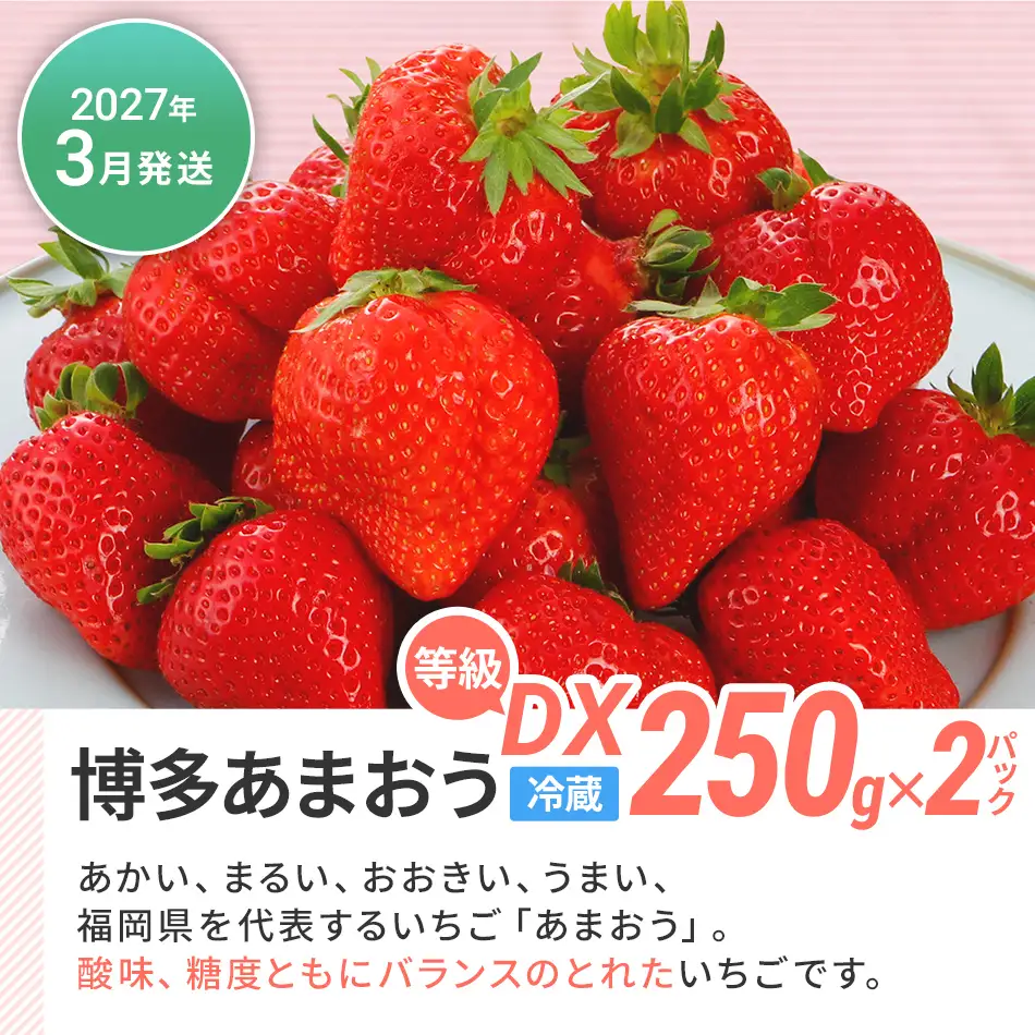 フルーツ定期便  果物定期便D  フルーツ定期便 【2027年3月・9月発送】