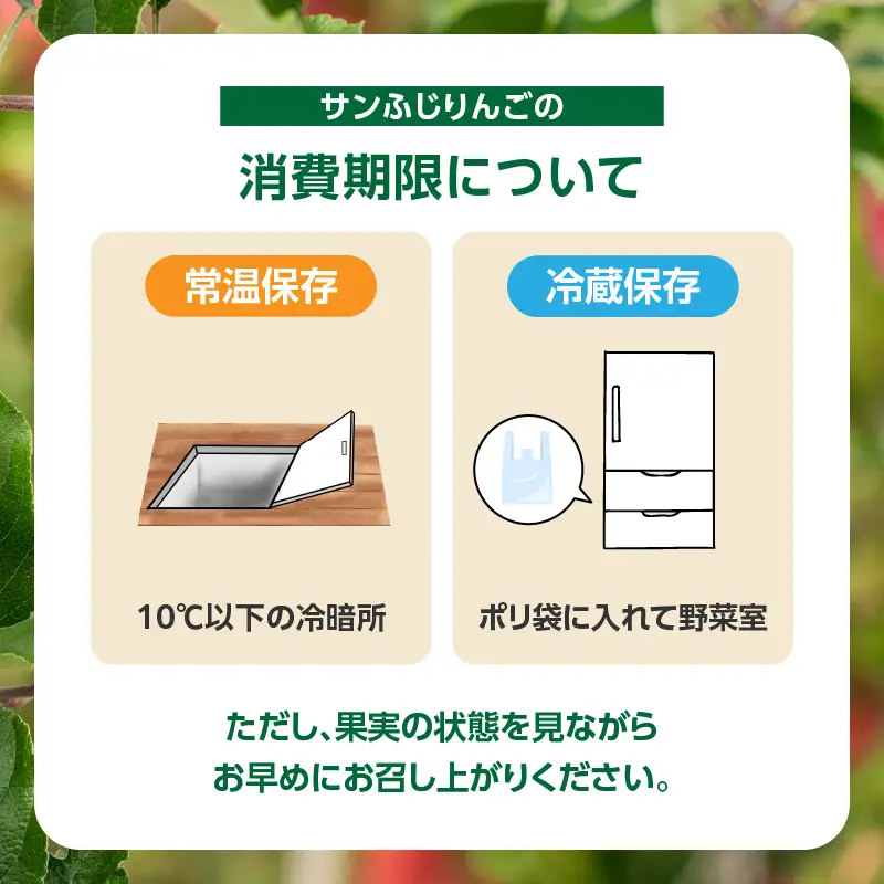 山形県産りんご サンふじ 約5kg 秀品【2026年11月中旬頃～発送予定】 063-023