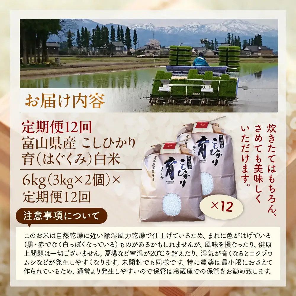 【令和8年産】定期便・12回  富山県産こしひかり 　育（はぐくみ）  白米３kg×２袋《南砺の逸品》