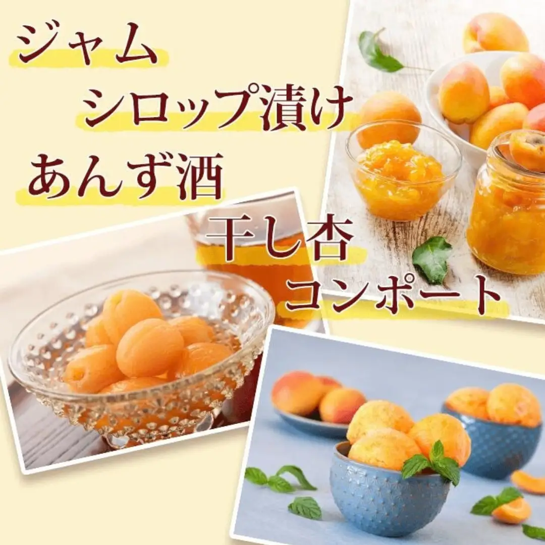 【2027年先行予約】長野県千曲市産 加工用(秀品)生あんず 約1kg | あんず