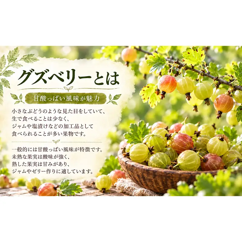 手作りジャム セット 【グズベリー】 2個 北海道 南富良野町 ジャム ベリー ソース 果実