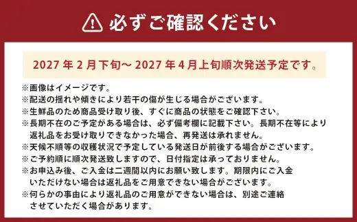 ＜ R8年熊本地震復興支援 ＞不知火 約5kg 12～20玉 【2027年2月下旬～4月上旬発送予定】