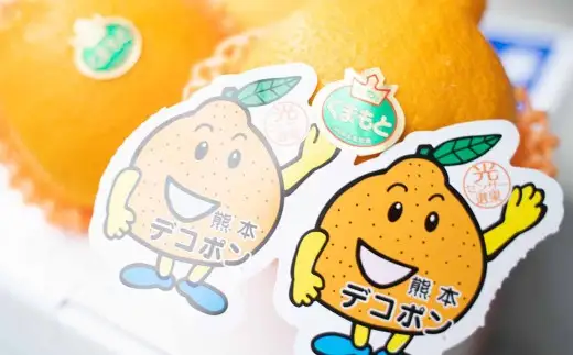 ＜ R8年熊本地震復興支援 ＞デコポン 約5kg 【2026年12月上旬～2027年2月下旬発送予定】