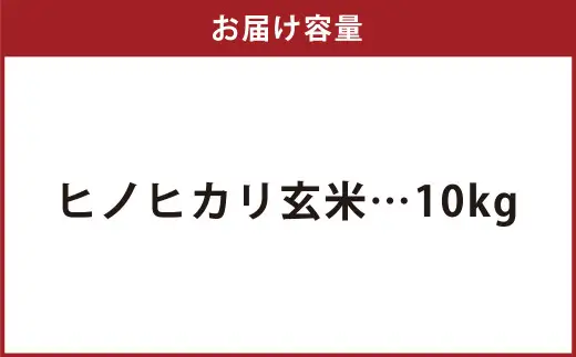 【令和8年産】 特別栽培米ヒノヒカリ （玄米） 10kg 予約 新米 ヒノヒカリ 玄米 井上農園 米 お米 【2026年10月上旬～12月下旬迄発送予定】