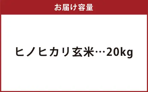【令和8年産】 特別栽培米ヒノヒカリ （玄米） 20kg 予約 新米 ヒノヒカリ 玄米 井上農園 米 お米 【2026年10月上旬～12月下旬迄発送予定】