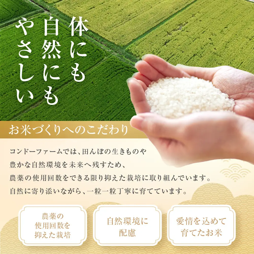 ミルキークイーン　5kg