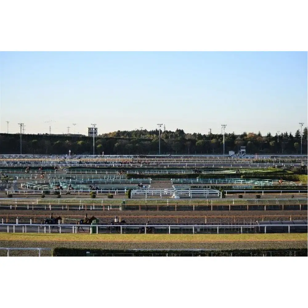 令和8年10月28日（水）美浦村体感 トレセン調教見学付き村内ツアーと特産品（お米5ｋｇ）