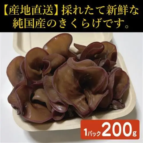 純国産きくらげ　生・乾燥セット【配送不可地域：離島】【1777830】