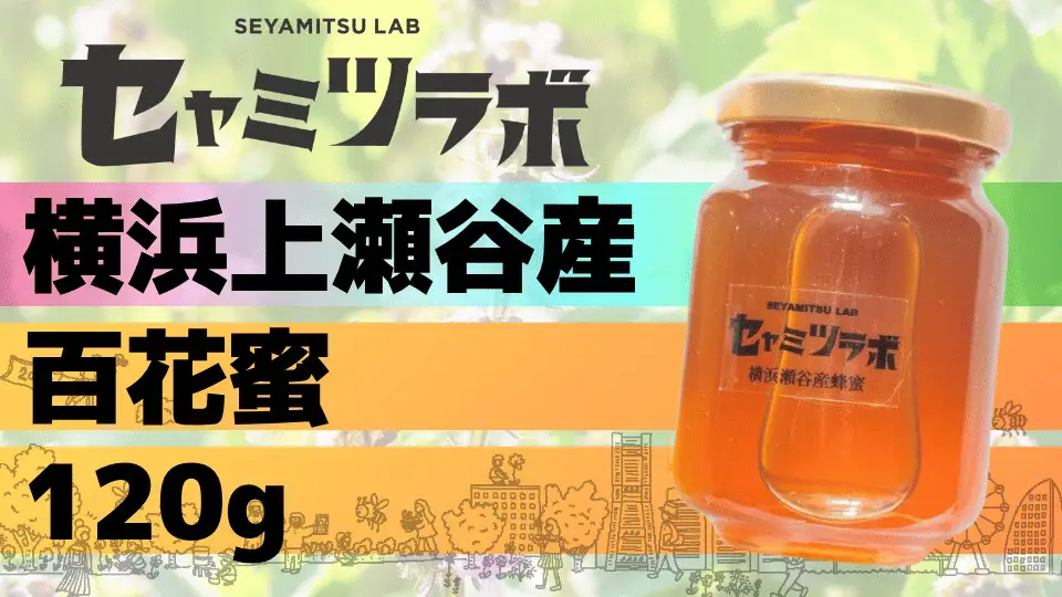 セヤミツラボの季節のハチミツ 6月のセヤミツ（NO.4） AST0001-04