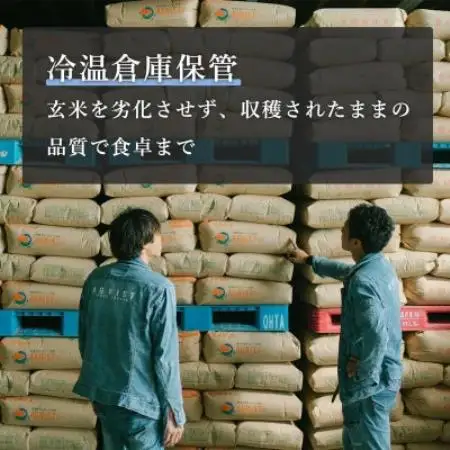【毎月定期便】京都与謝野町産エナジーこしひかり精米5kg　農家直送全3回【4092863】
