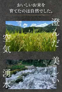 【定期便12回】コシヒカリ 2kg（1kg×2）令和8年産 [095-t12-a229]