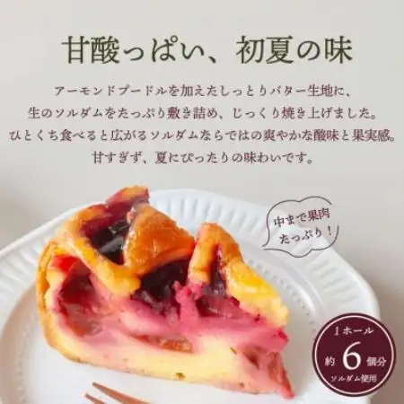 すもも丸ごとケーキ 山梨市産ソルダムをふんだんに使用した贅沢なフルーツケーキ 4号 1ホール【配送不可地域：離島】【1745000】