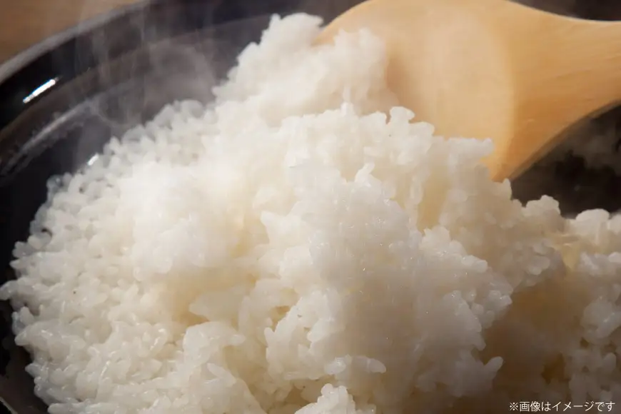 米 3回定期便 コシヒカリ 精米 5kg