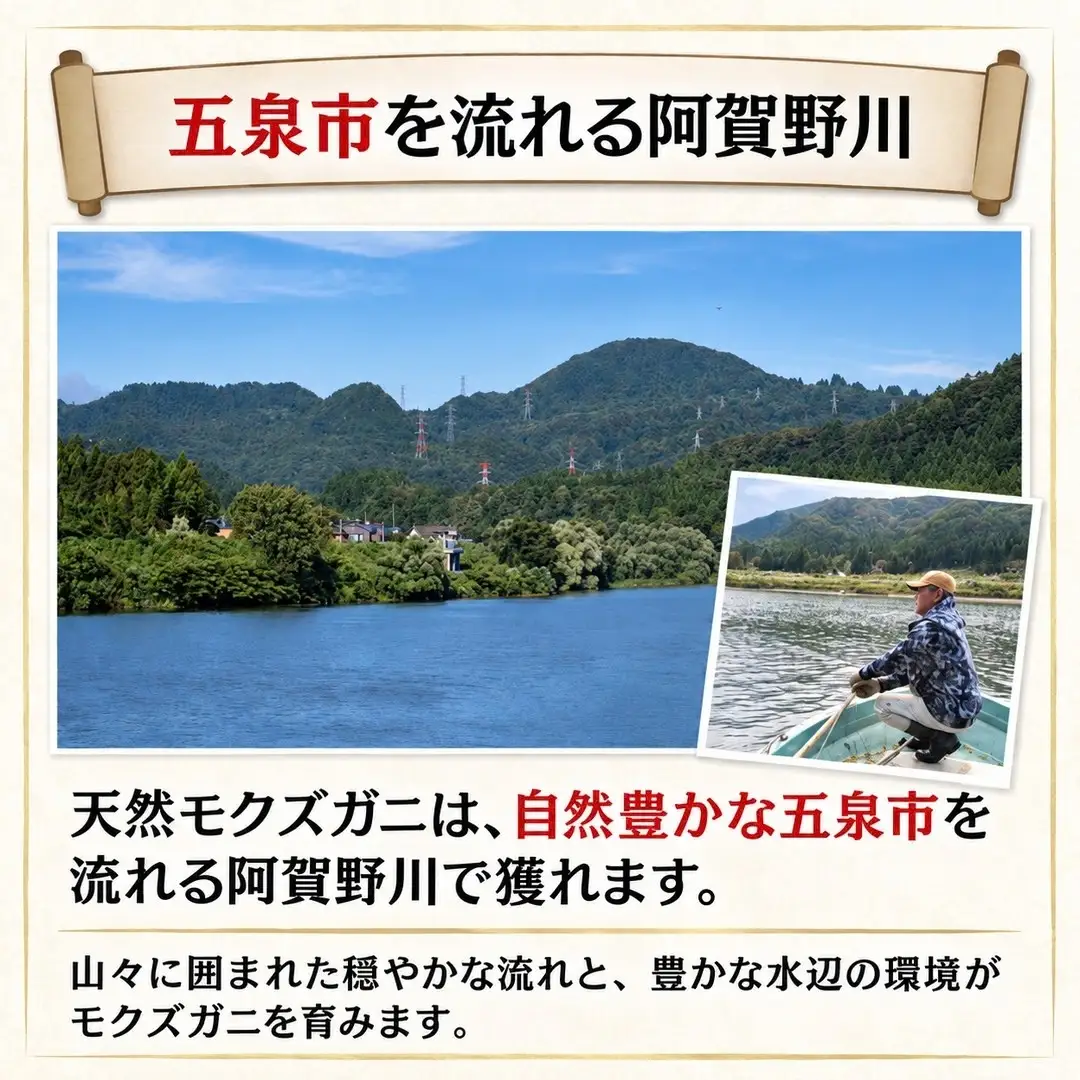 天然モクズガニ 1kg(8匹～12匹) 規格外 オスメス混合 | カニ 蟹 新潟県 五泉市