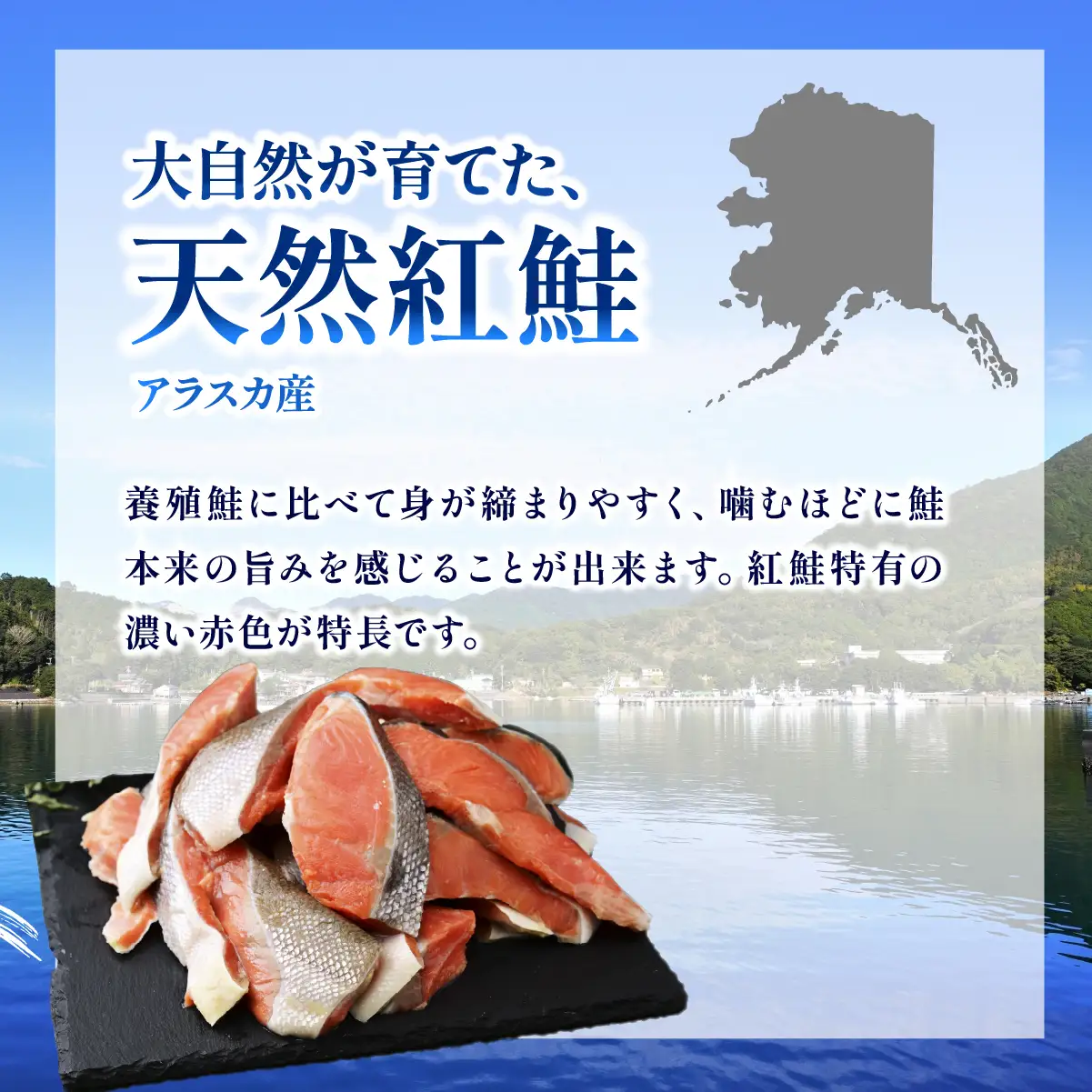 訳あり アラスカ産 天然紅鮭 切り落とし 0.9kg(300g×3パック) | しゃけ さけ 茨城県 ひたちなか市 