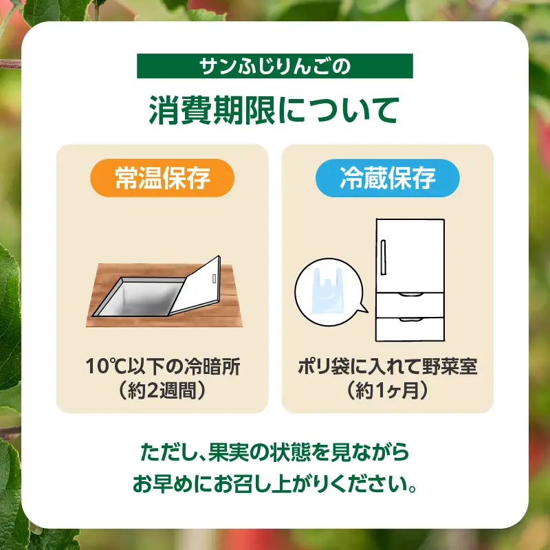 山形県産りんご 訳あり サンふじ 約5kg【2026年11月中旬頃～発送予定】 063-024