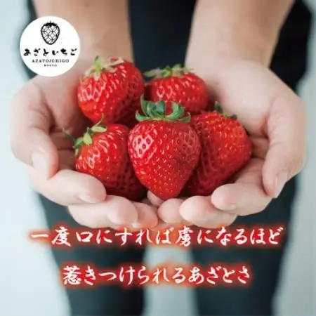 【12月25日から順次出荷】あざといちご　3Lサイズ　12粒入り　ロックファーム京都【配送不可地域：離島・北海道・沖縄県】【1786952】