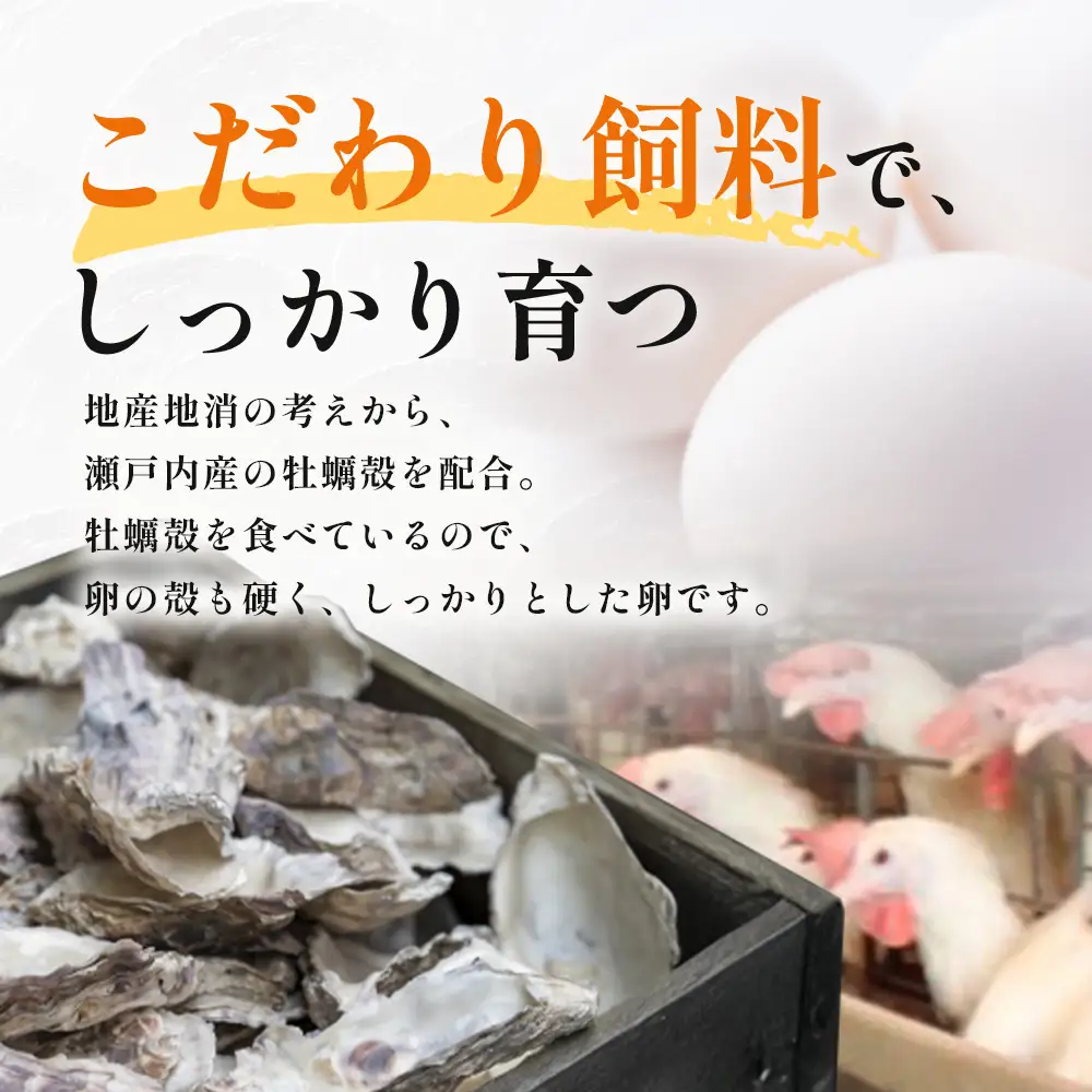 定期便 12回配送 新鮮 たまご 80個×12回 合計960個 | 自然豊かな庄原で生まれた 新鮮たまご 訳アリ MSサイズ～2Lサイズ サイズ混合 サイズ指定不可