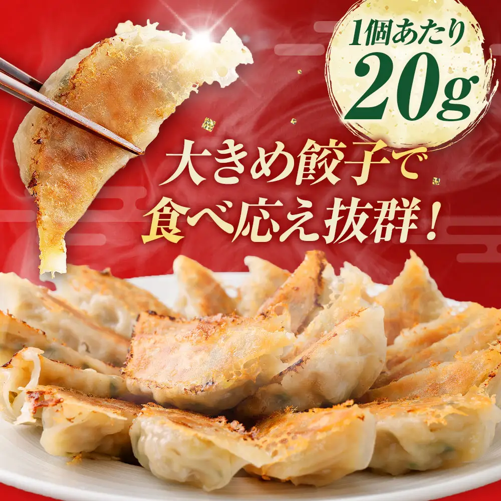 においが消える！？ にんにく餃子 50個 × 6袋 合計300個 海藻抽出物 消臭技術 餃子 ギョーザ にんにく ニンニク 金子式201 冷凍 冷凍食品 おつまみ 夕食 家庭料理 お惣菜