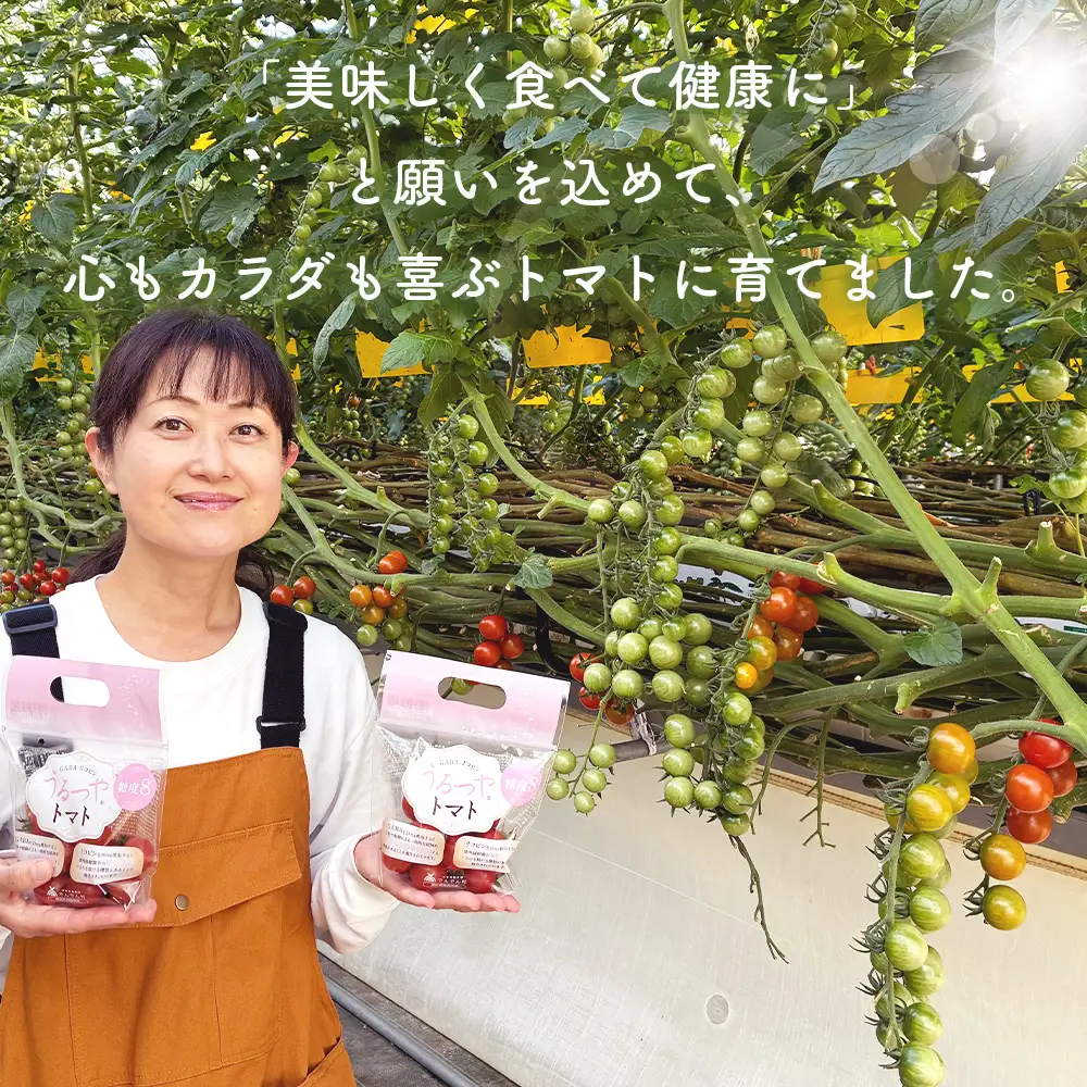 うるつやトマト 【糖度8】 5パック ／ ミニトマト 機能性表示食品 リコピン GABA 高糖度 甘いトマト みずみずしい 野菜不足対策 美容サポート 紫外線対策 食べやすい 朝食 お弁当 サラダ 国産 野菜ギフト ヘルシー オリジナルボックス 家庭用 プレゼント 贈り物 送料無料 愛知県 No.545-01