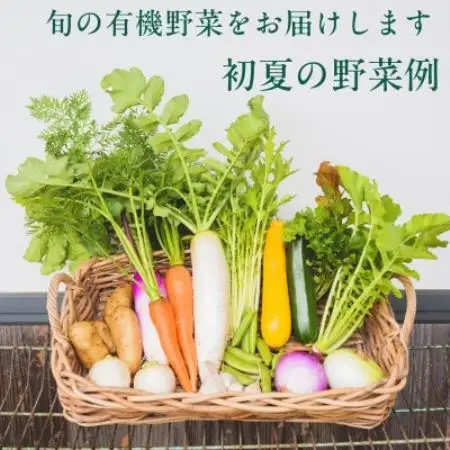 オーガニックビレッジ掛川、有機農業の会セレクト(1)、有機農場から直送・有機野菜セット(Lセット)【配送不可地域：離島・北海道・沖縄県・四国・九州】【1758809】
