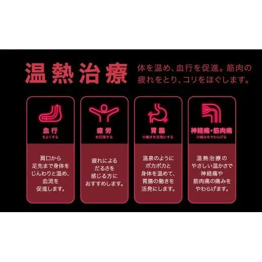 電位・温熱組合せ家庭用医療機器〔エアー〕ヘルシオン(セミダブル)
