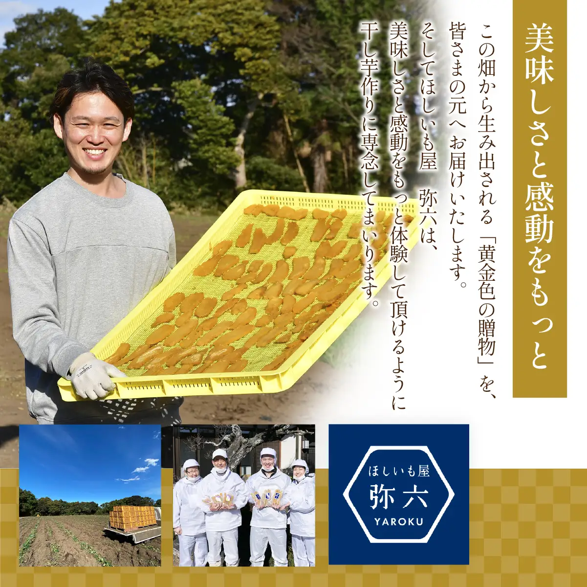 【先行受付】訳あり シロタ平干し 2kg 紅はるか ほしいも屋弥六 | 茨城県 ひたちなか市