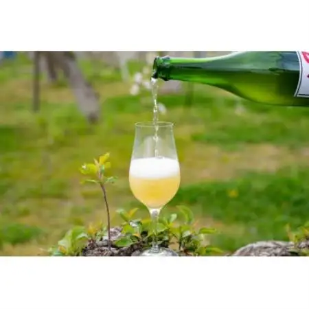 【国際コンクール銀賞受賞!】 信州中野自然派シードル MARUKO CIDER 750ml【1753489】