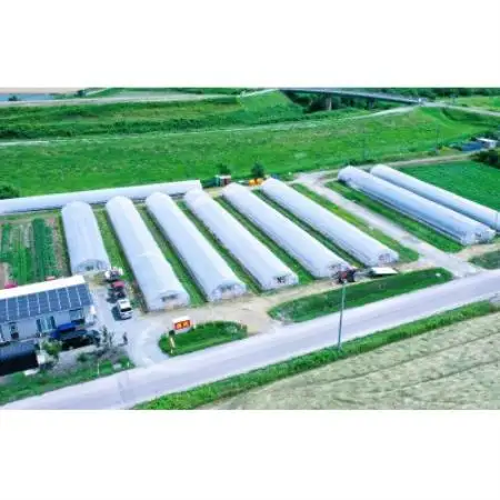 【北海道長沼町】無添加トマトジュース　甘美の雫180ml×6本　濃縮果汁　　【1748553】