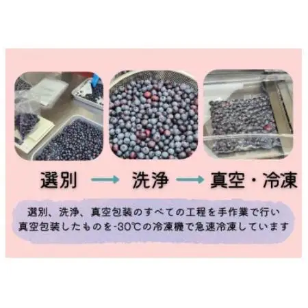 徳島県産冷凍ブルーベリー(栽培期間中化学農薬不使用) 計1500g【配送不可地域：離島】【1761247】