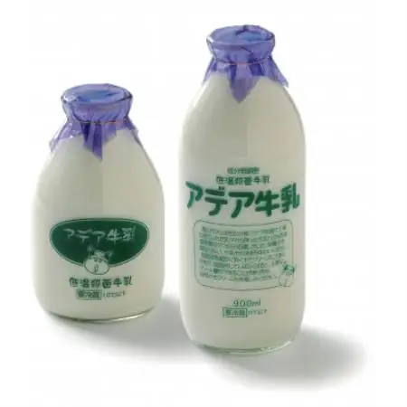 低温殺菌アデア牛乳100%のミルクアイスクリーム10個入り【配送不可地域：離島】【1749381】