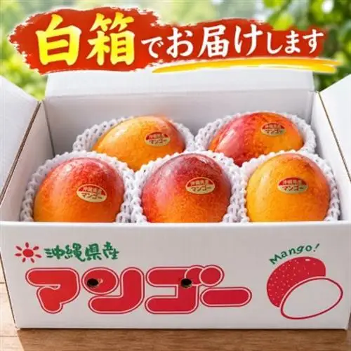【2027年7月中旬より順次発送・白箱入り】瀬底さんの家庭用アップルマンゴー2kg(4～6玉)【配送不可地域：離島】【1785992】