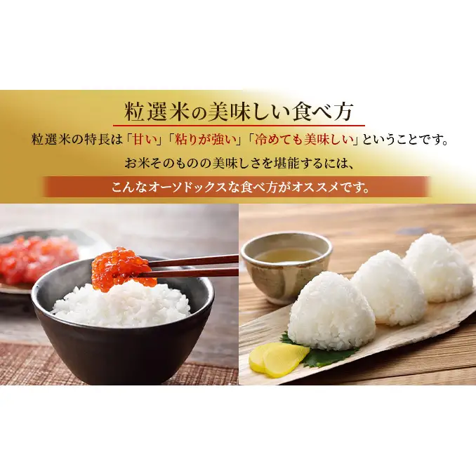 令和8年産 新潟産コシヒカリ20kg　真空パック