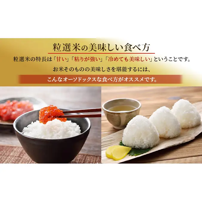 令和8年産 新潟産コシヒカリ5kg　真空パック（12か月定期配送）