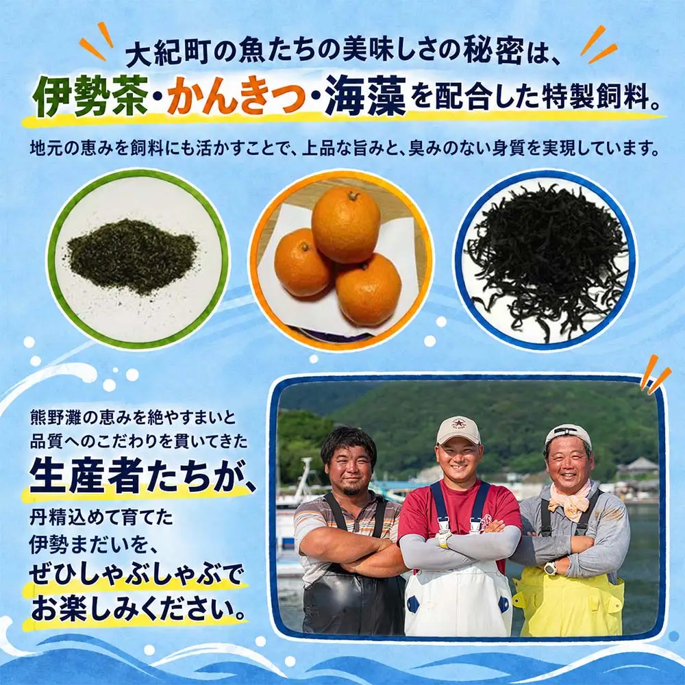 （冷凍）伊勢まだい しゃぶしゃぶ セット 約200g ／ 2人前 3人前 真鯛 鯛 タイ ひろめ付 冷凍 年内配送 年末 お取り寄せ 海鮮 魚 ギフト 鍋 海産物 水産物 三重県 大紀町