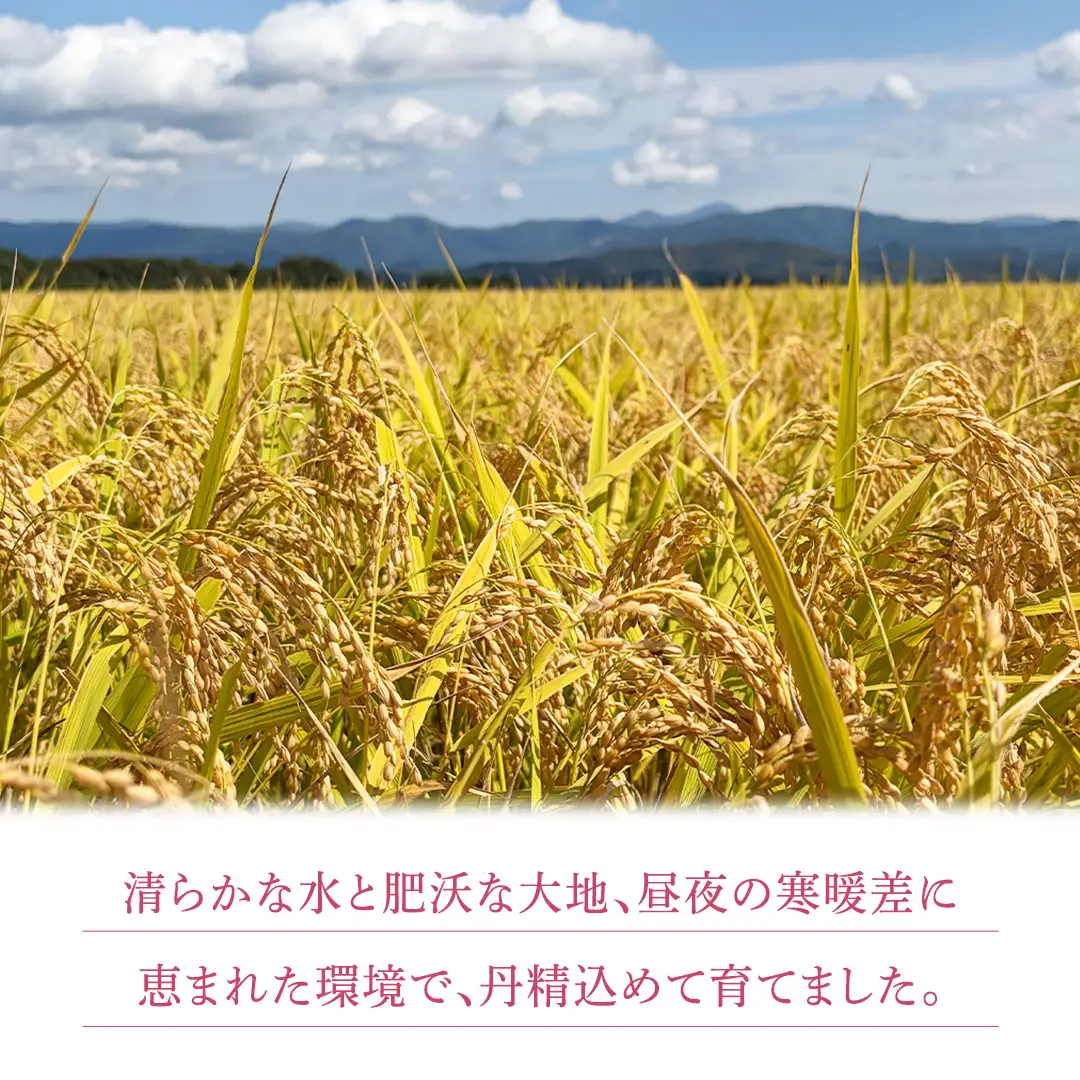 【 新米 】 令和8年産 ひとめぼれ 5kg 精米 AO006