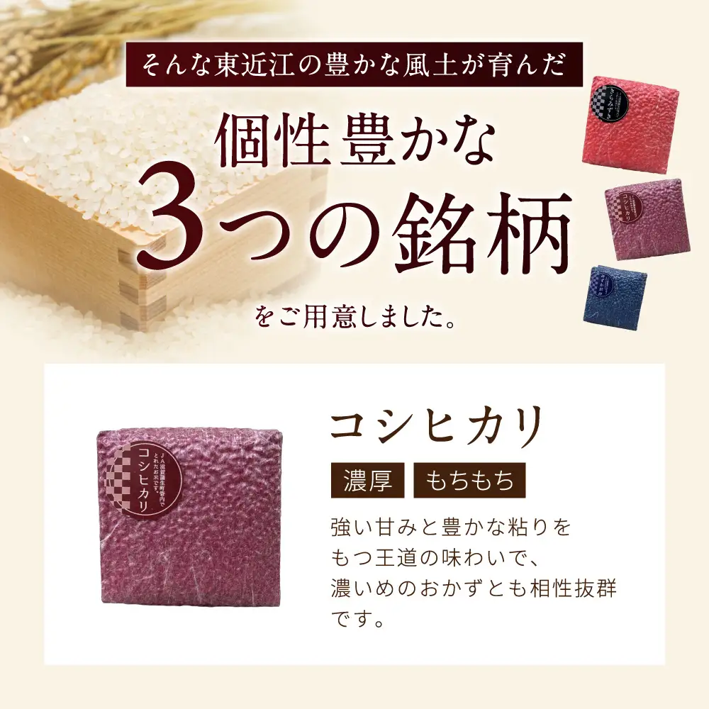 キューブ精米6個セット（ギフトBOX付き） 滋賀蒲生町農業協同組合 旬菜館さくら 滋賀県 東近江市 11-121-0002 米 お米 ギフト 詰め合わせ 食べ比べ コシヒカリ きらみずき みずかがみ 3種 近江米 滋賀