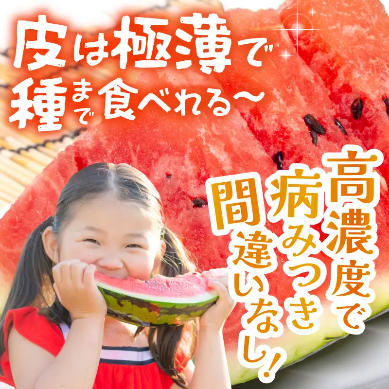 小玉スイカ ピノ・ガール 約1.5kgサイズ 2玉 2027年7月中旬以降順次発送予定 [A-21807]