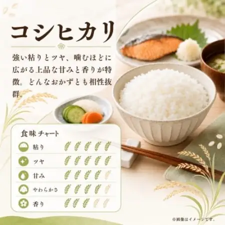 令和8年産 新米 お米屋さんのコシヒカリ 精米 10kg(1袋)【1787838】