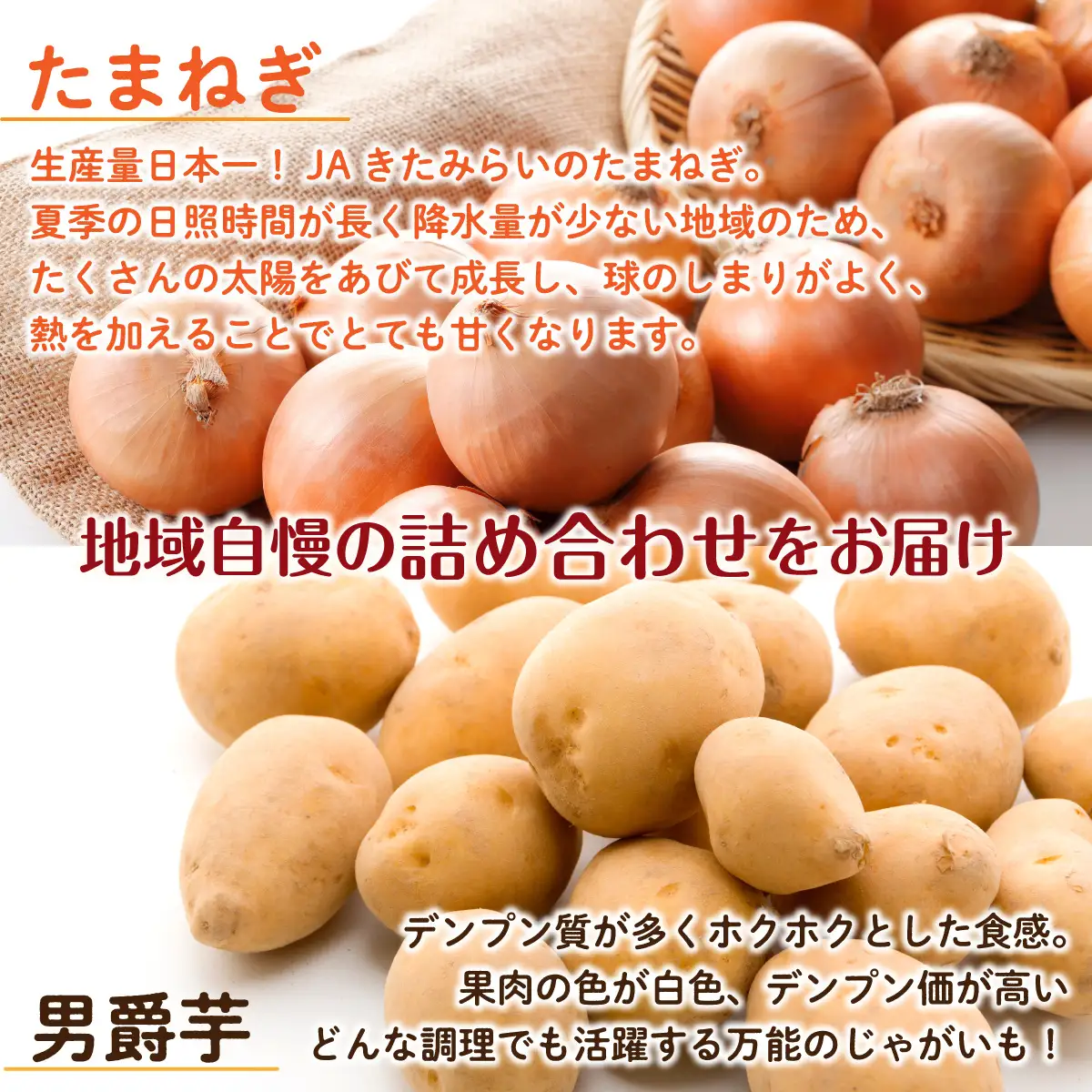 ＪＡきたみらい男爵芋・玉葱詰め合わせ 計約6kgOTC004