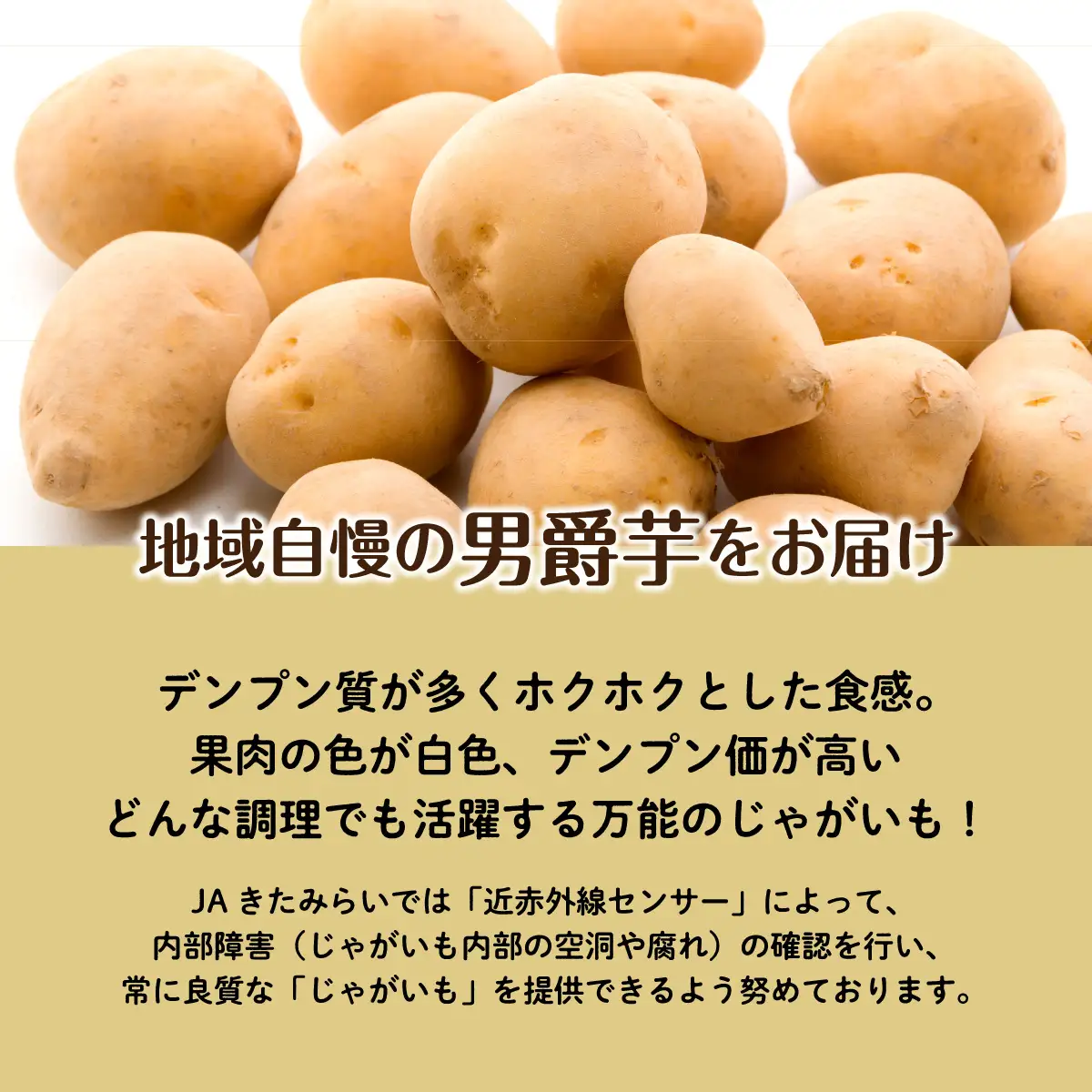 ＪＡきたみらい男爵芋 約10kgOTC008