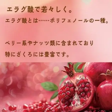 スジャータめいらく　ざくろ100%　1000ml　6本セット【1786706】