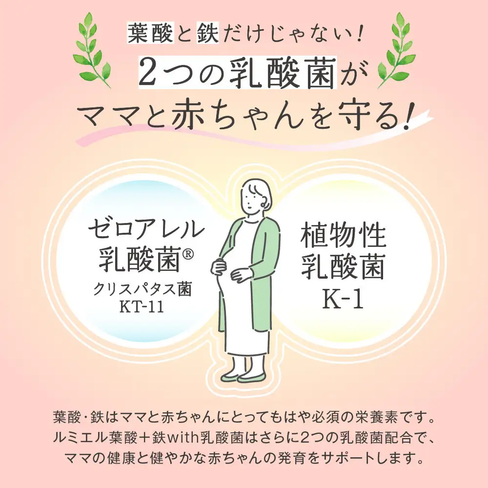 ルミエル 葉酸+鉄 with 乳酸菌 6袋 サプリメント 妊婦 妊娠 妊活期の葉酸補給
