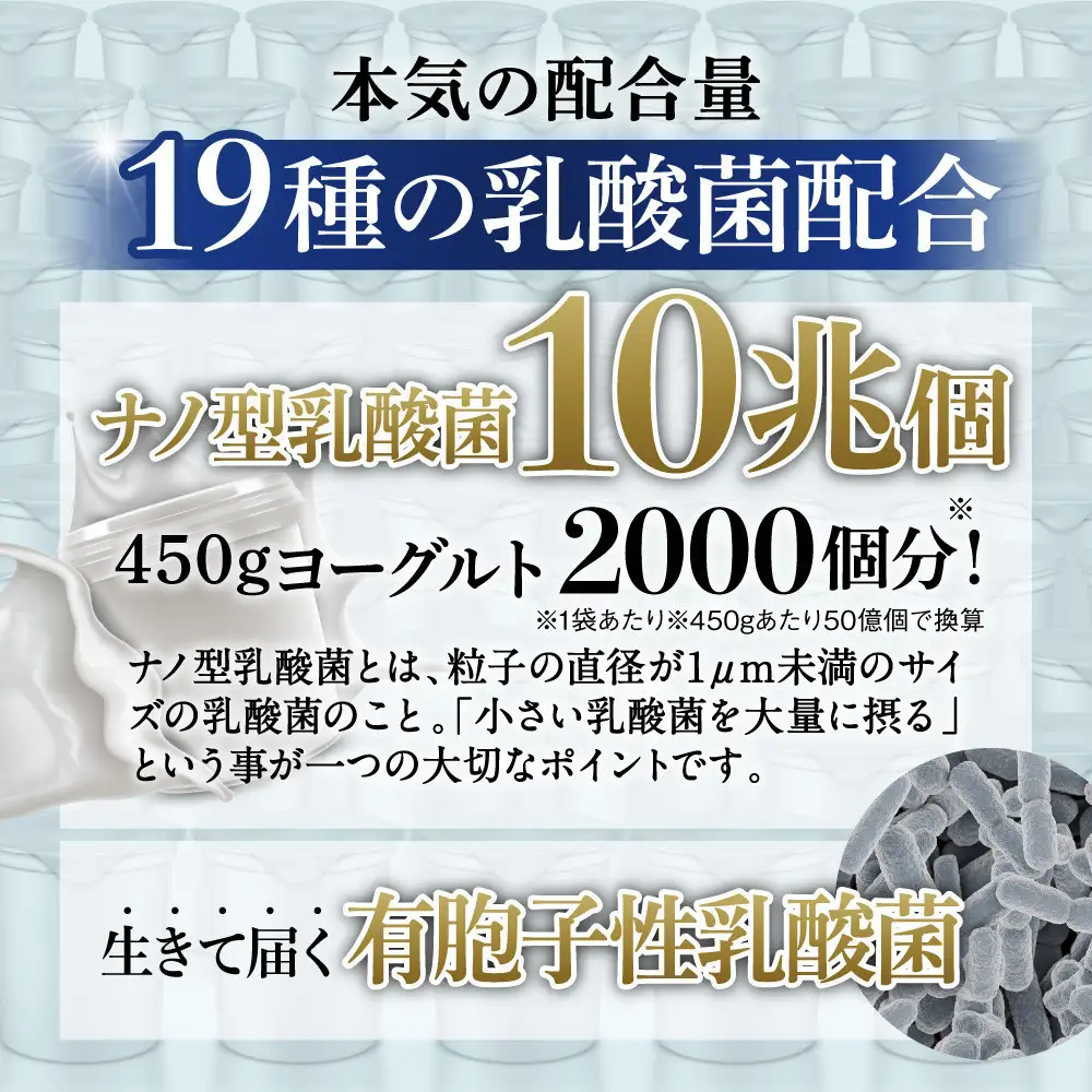 乳酸菌サプリメント 6袋 ナノ型乳酸菌10兆個&ビフィズス菌配合 乳酸菌プレミアム