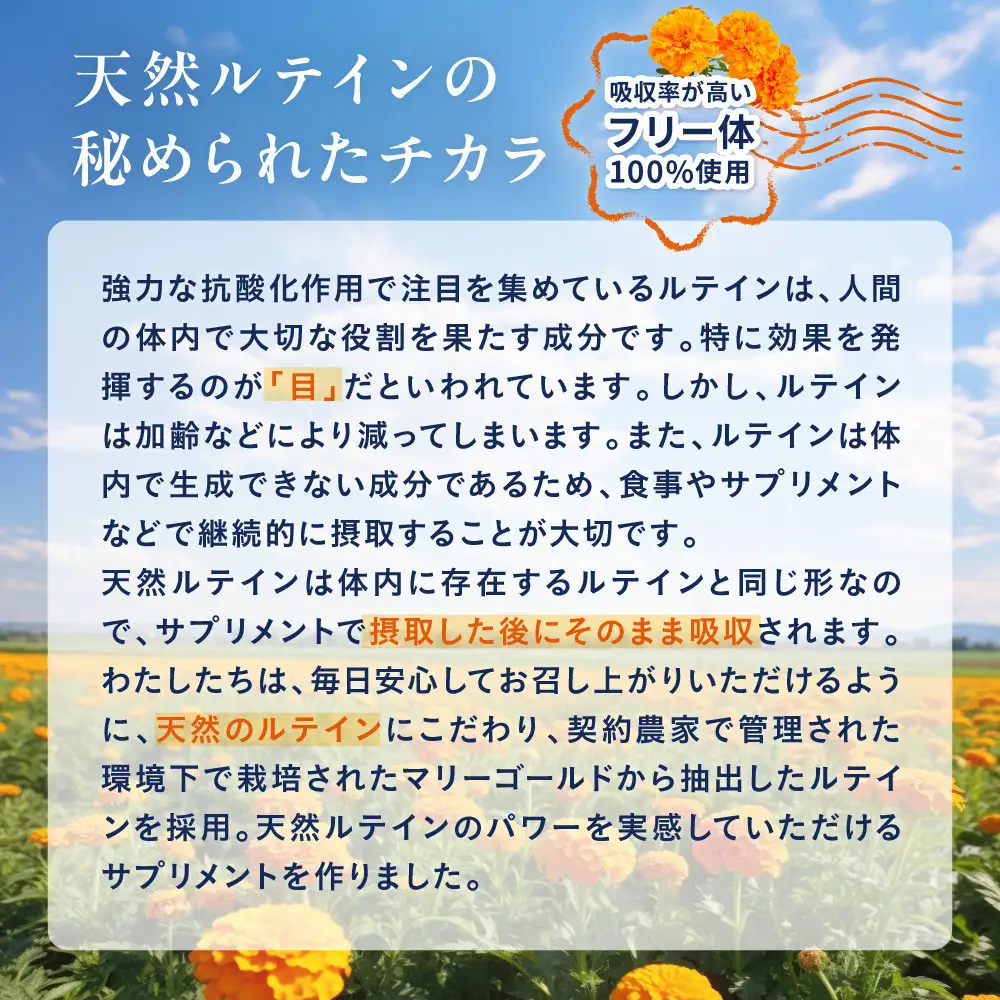 明快ルテイン 3袋 ルテイン サプリメント 見ると認知をケアする機能性表示食品 ブルーベリー DHA